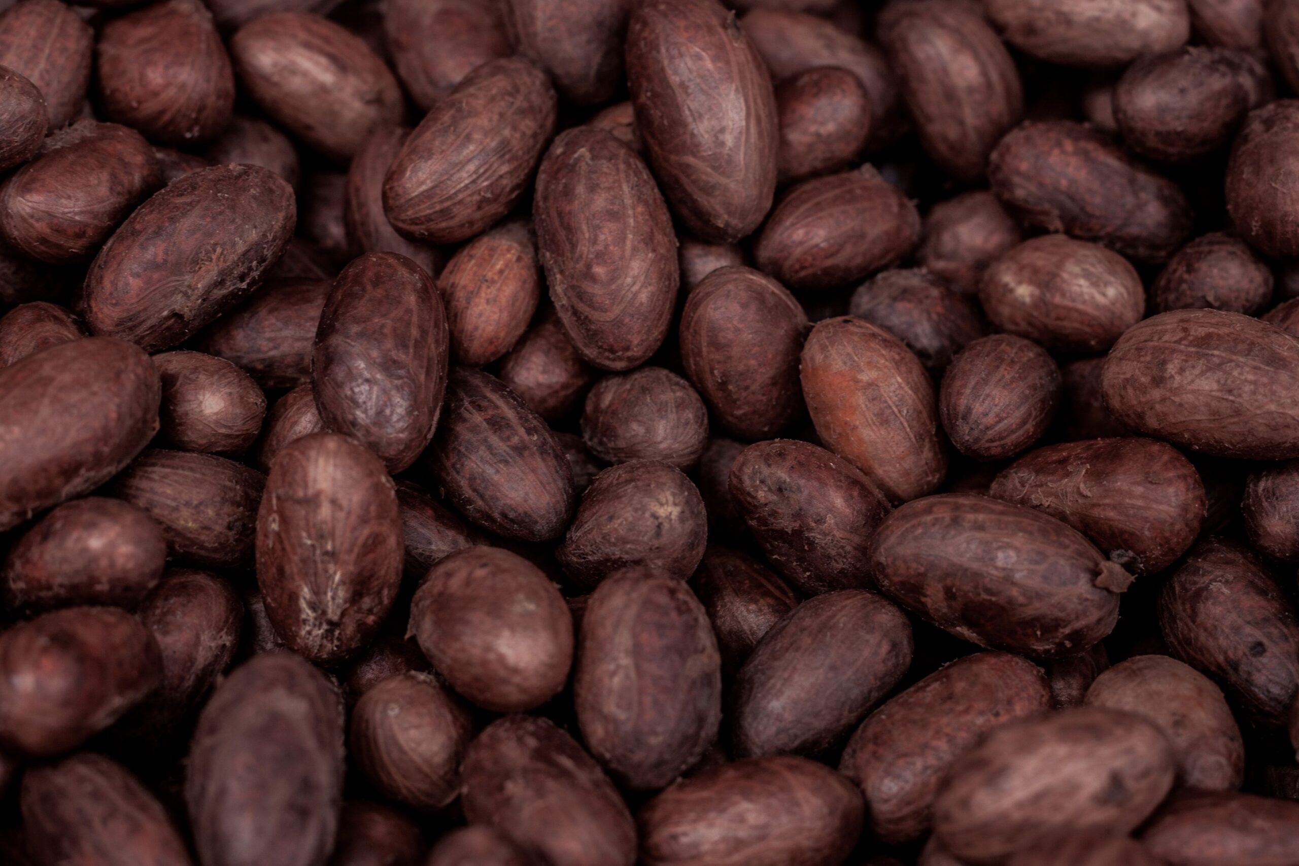 pexels blacqpixels 5208267